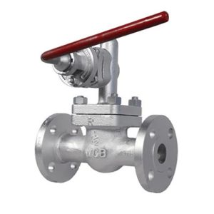 Blow Down Valves-p