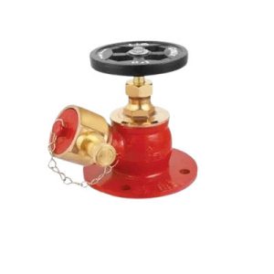 Bronze Fire Hydrant Valves-p