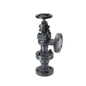 Cast Iron Accessible Feed Check Valves-p