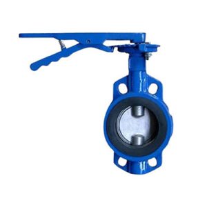 Cast Iron Butterfly Valves-p