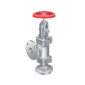 Feed Check Valve-p