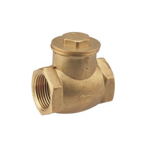 Non Return Valve-p