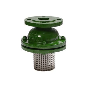 Suction Strainer Valve-p